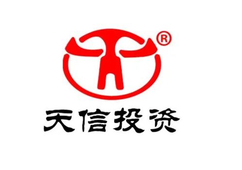福建天信投資咨詢顧問 專業(yè)服務(wù)助力投資決策
