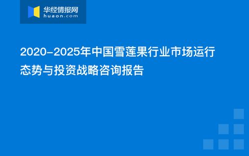 中國雪蓮果行業(yè)市場運(yùn)行態(tài)勢與投資戰(zhàn)略咨詢報(bào)告